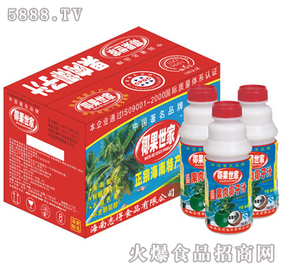 500mlx15PT瓶果肉椰汁