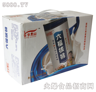 六福核桃植物蛋白飲料240mlx16罐