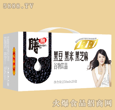 膳意谷物飲品（黑豆、黑米、黑芝麻）250mlX20
