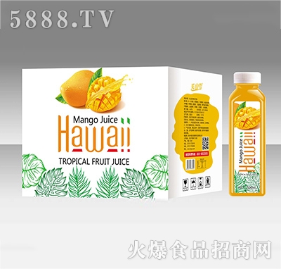 關(guān)山雪芒果汁500ML