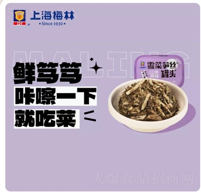 梅林家鄉(xiāng)菜罐頭方便即食雪菜筍絲120g