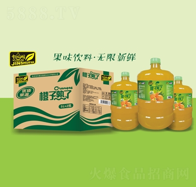 今水坊橙子熟了風味飲料5LX2瓶