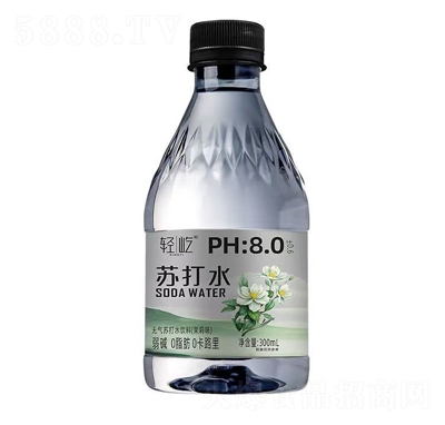 pKˮζ300ml